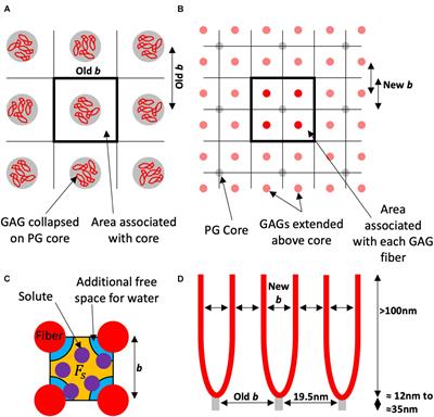 A Reinterpretation of Evidence for the Endothelial Glycocalyx Filtration Structure